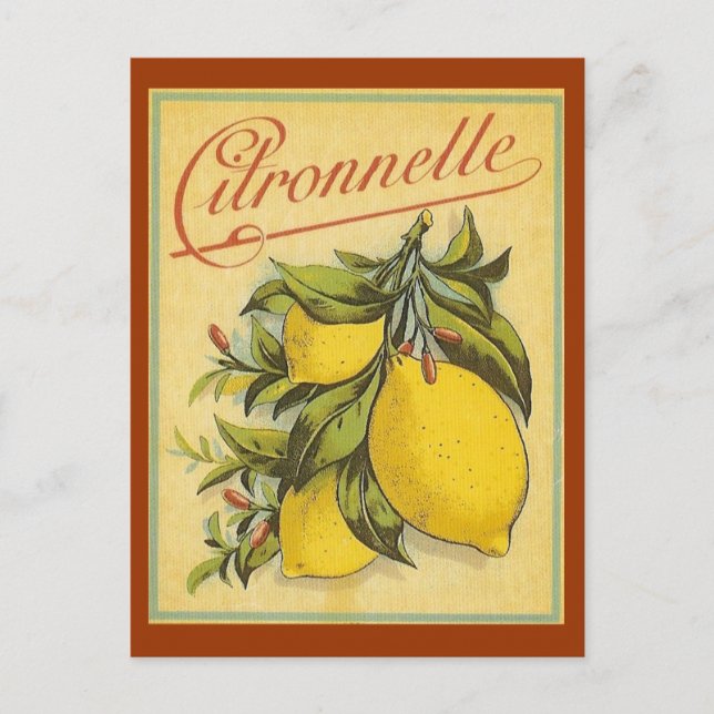 Carte Postale Publicité vintage Citronnelle (Devant)