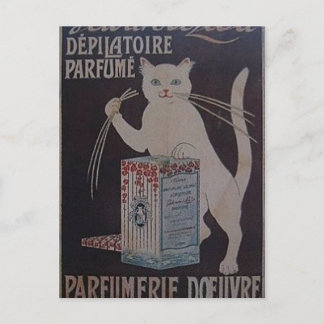Carte Postale Publicité vintage française - chats