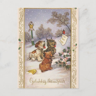 Carte Postale Puces de carottage