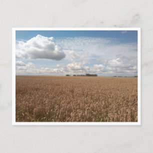 Carte Postale Puck (Pologne)