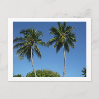 Carte Postale Puerto Rico