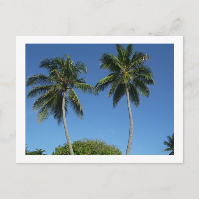 Carte Postale Puerto Rico (Devant)