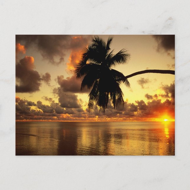 Carte Postale Puerto Vallarta (Devant)