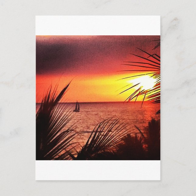 Carte Postale Puerto Vallarta Sunset (Devant)
