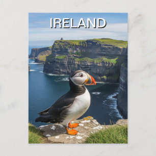 Carte Postale Puffin aux falaises de Moher Irlande Travel