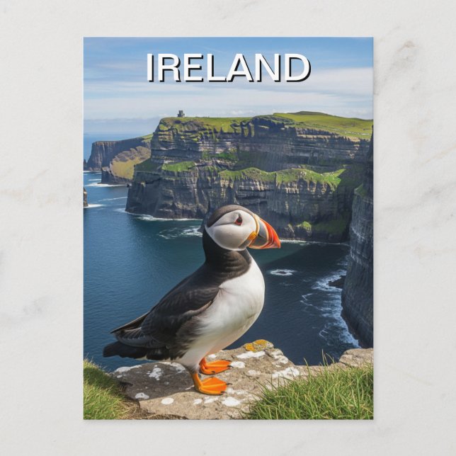 Carte Postale Puffin aux falaises de Moher Irlande Travel (Devant)