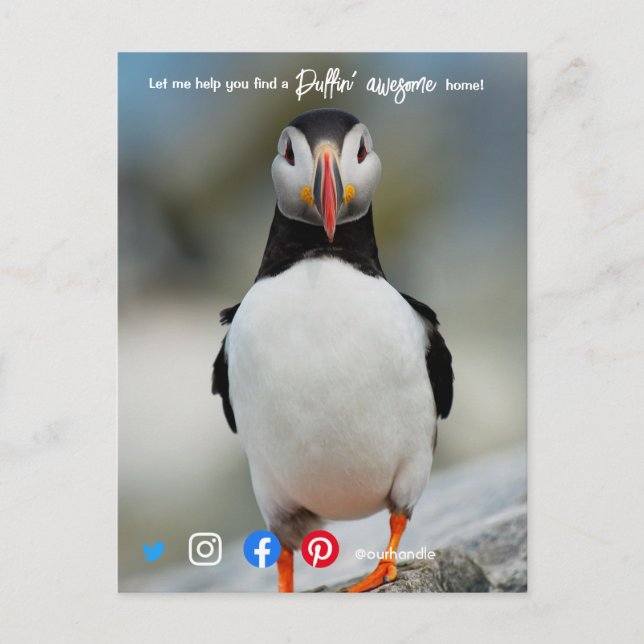 Carte Postale puffin génial marketing agent immobilier postca (Devant)