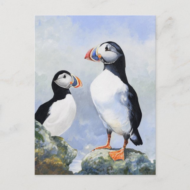 Carte postale Puffins (Devant)