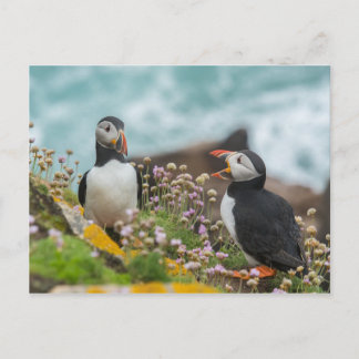 CARTE POSTALE PUFFINS - ÎLES SALTEE, IRLANDE