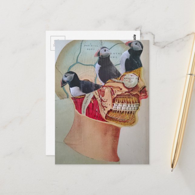 Carte Postale Puffins on the Brain Surreal mixed media collage  (Devant/Arrière en situation)