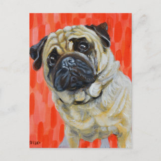 Carte Postale Pug 0range