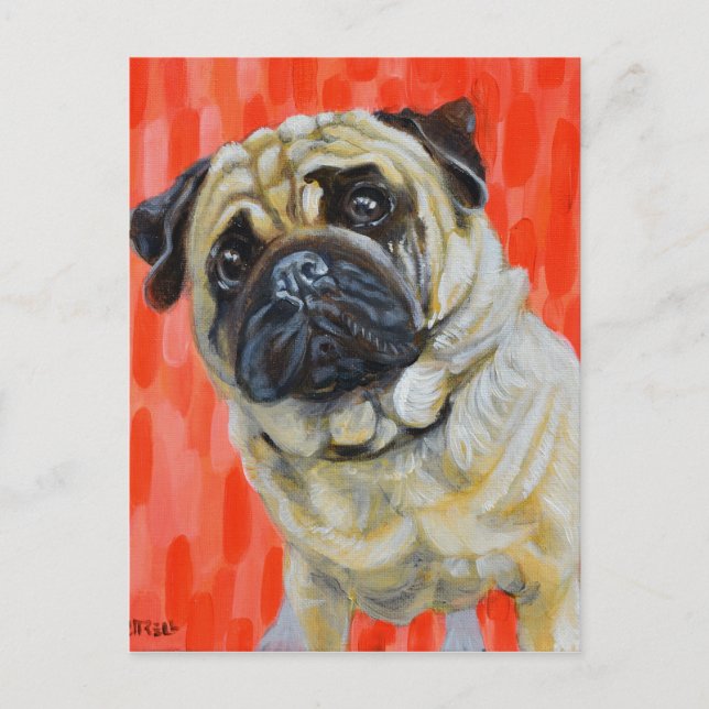 Carte Postale Pug 0range (Devant)