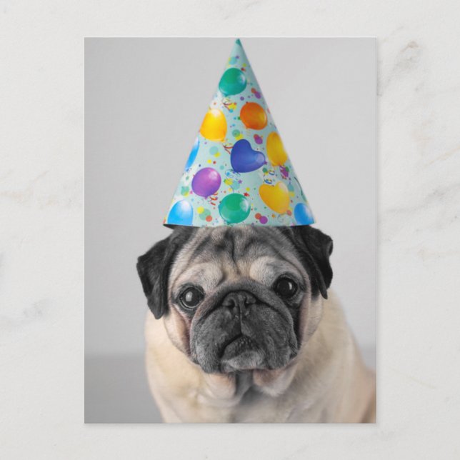 Carte Postale Pug fêtard (Devant)
