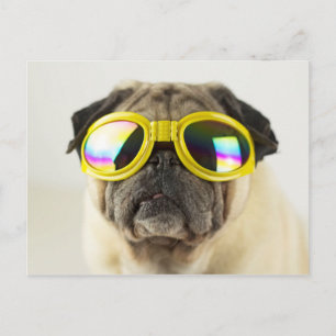 Carte Postale Pug with Goggles