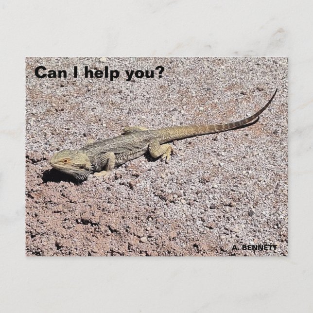 Carte Postale Puis-je vous aider ? (Devant)