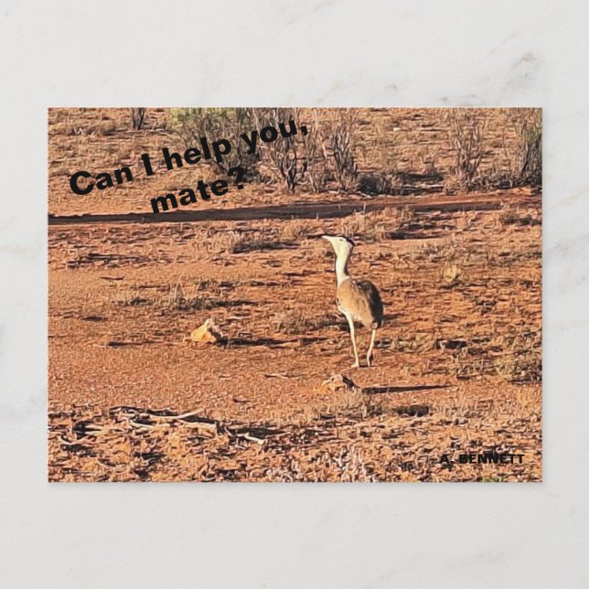Carte Postale Puis-je vous aider, mon pote ? (Devant)