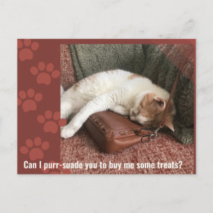 Carte Postale Puis-je vous purr-suader joli casse-tête de chat
