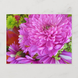 Carte Postale Puissance de la fleur rose