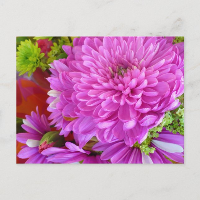 Carte Postale Puissance de la fleur rose (Devant)