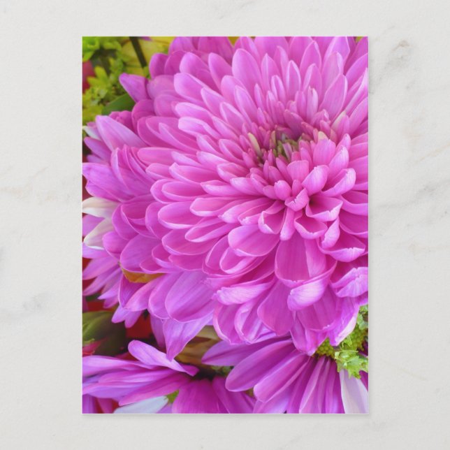 Carte Postale Puissance de la fleur rose (Devant)