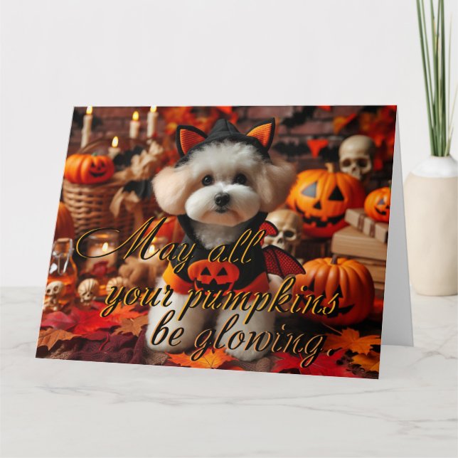 Carte postale "Puisse tous vos citrouilles briller (Devant)