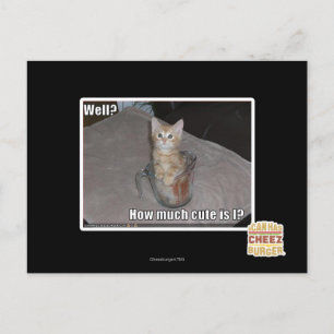 Carte Postale Puits ?