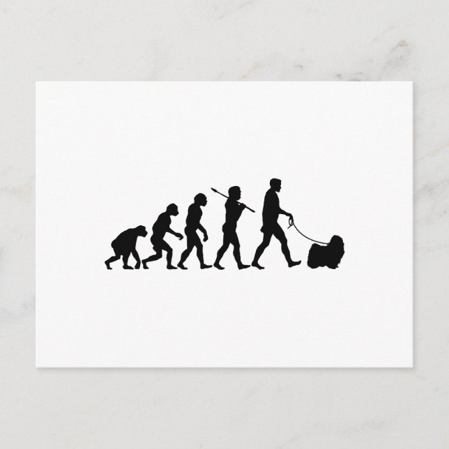 Carte Postale Puli (Devant)