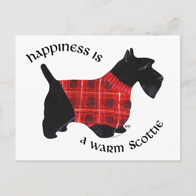 Carte Postale Pull à carreaux rouge et noir pour Terrier Écossai (Devant)
