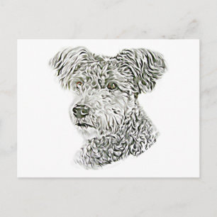 Carte Postale Pumi