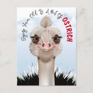 Carte Postale Pun autruche Anniversaire drôle