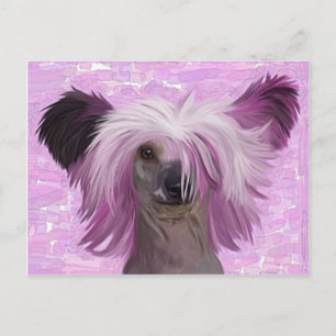 Carte Postale Punky2
