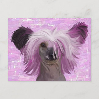 Carte Postale Punky2