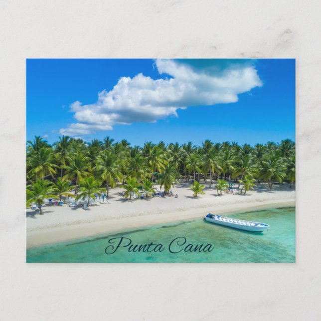 Carte Postale Punta Cana Belle Plage Tropicale Sableuse Palmiers (Devant)