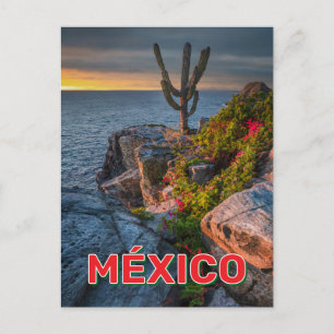 Carte Postale Punta Lobos, Basse Californie, Mexique
