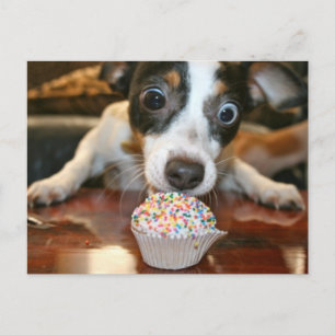 Carte Postale Pup Cake Postcard