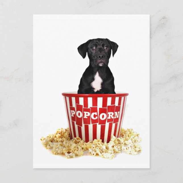 Carte Postale Pup-Corn qui que ce soit ? (Devant)