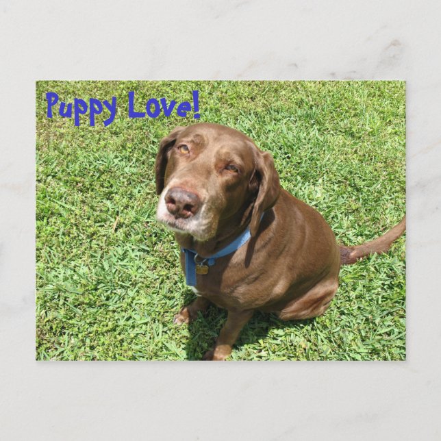 Carte Postale Puppy Love ! (Devant)