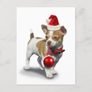 Carte Postale Puppy with christmas a et balle