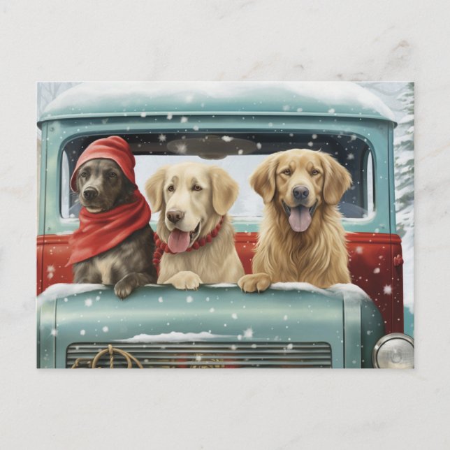 Carte Postale Pups de vacances (Devant)