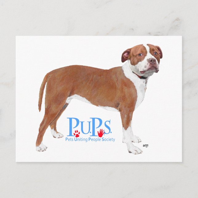 Carte Postale PUPs Sauve Pit Bull (Devant)
