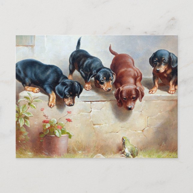 Carte postale Pups vintage (Devant)