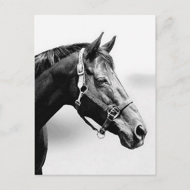 Carte Postale pur (Devant)