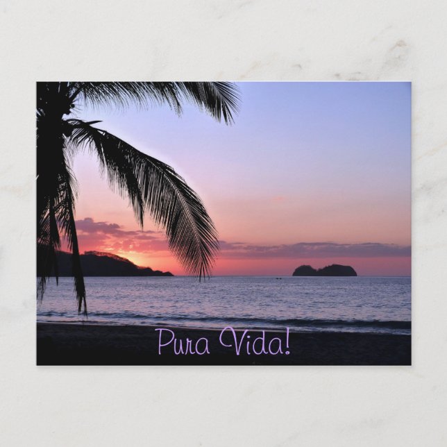 Carte Postale Pura Vida ! (Devant)