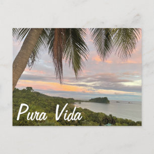 Carte Postale Pura Vida