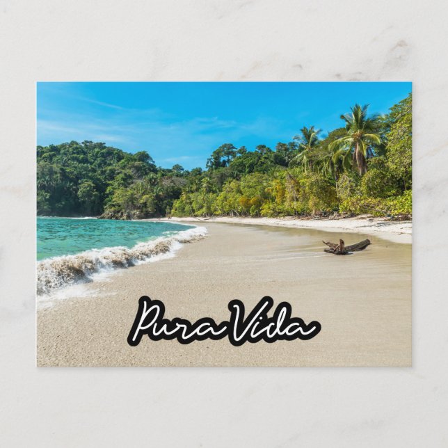 Carte Postale Pura Vida Costa Rica Beach Souvenir Postcard (Devant)