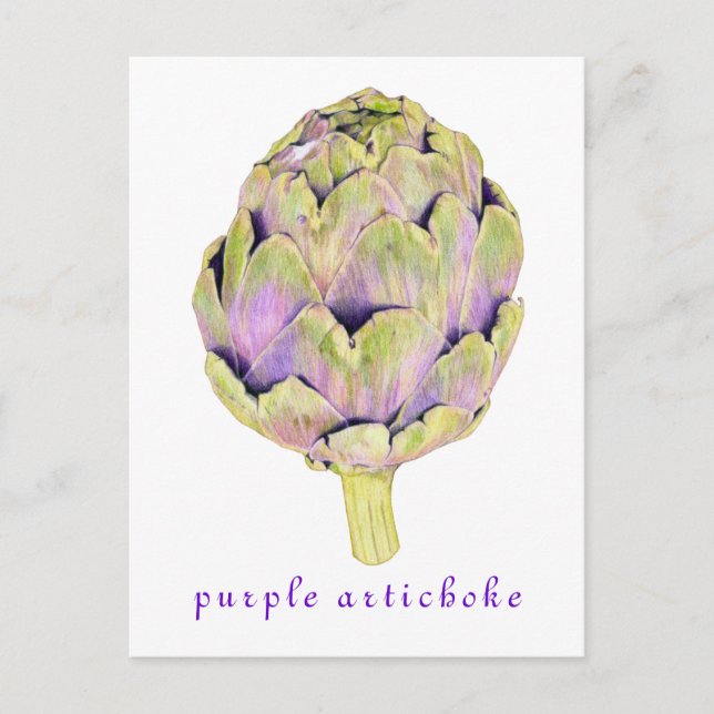 Carte Postale Purple Artichoke (Devant)