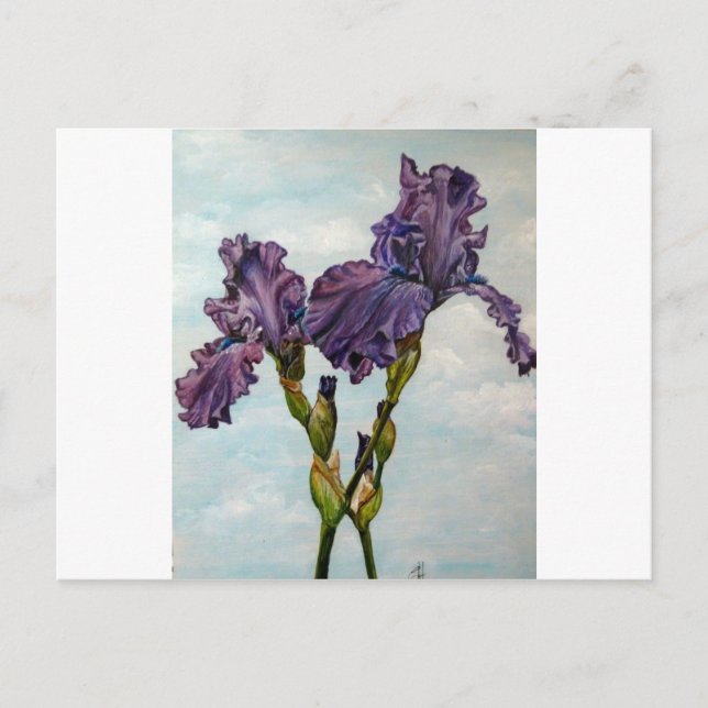 Carte Postale Purple bearded iris flowers (Devant)