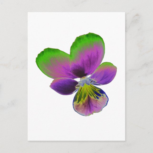 Carte postale Purple et Green Pansy (Devant)