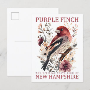 Carte Postale Purple Finch Bird of New Hampshire USA Travel