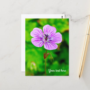 Carte Postale Purple Geranium